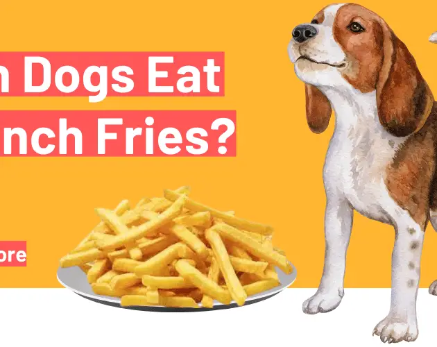 can dogs eat French fries