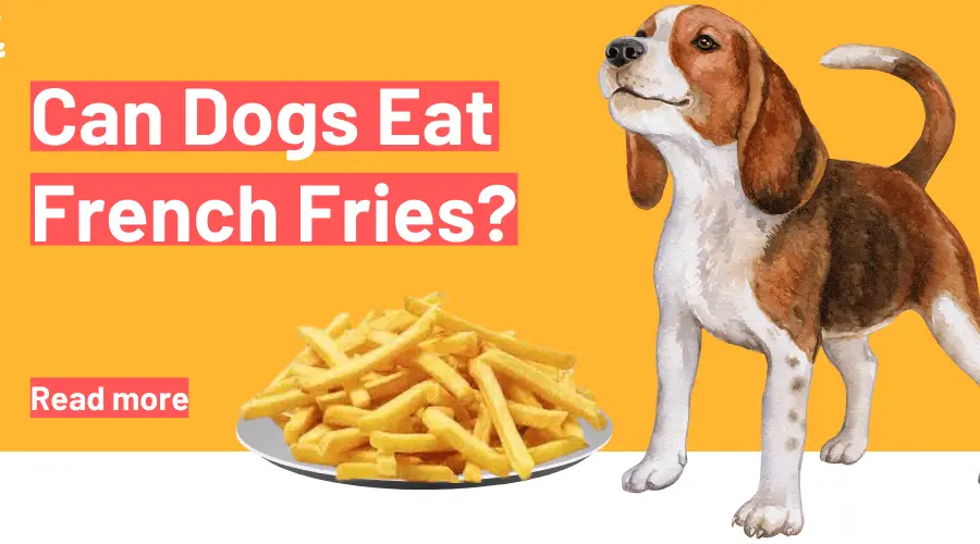 can dogs eat French fries
