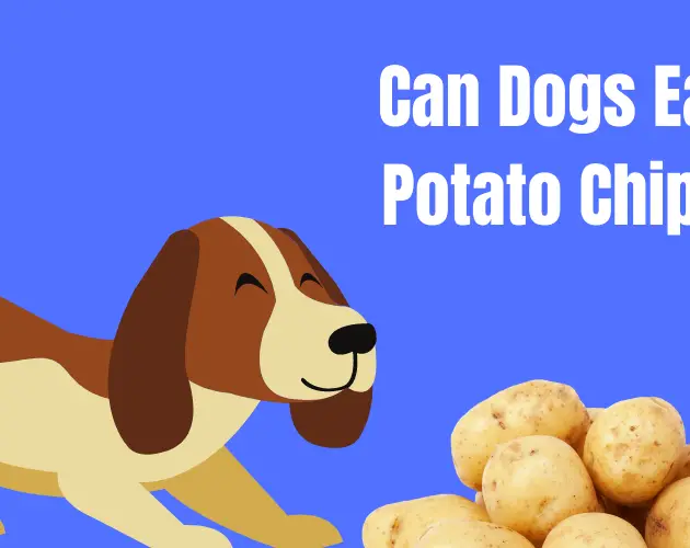 can dogs eat potato chips