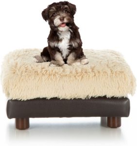 Club Nine Milo Sofa  and Dog Bed